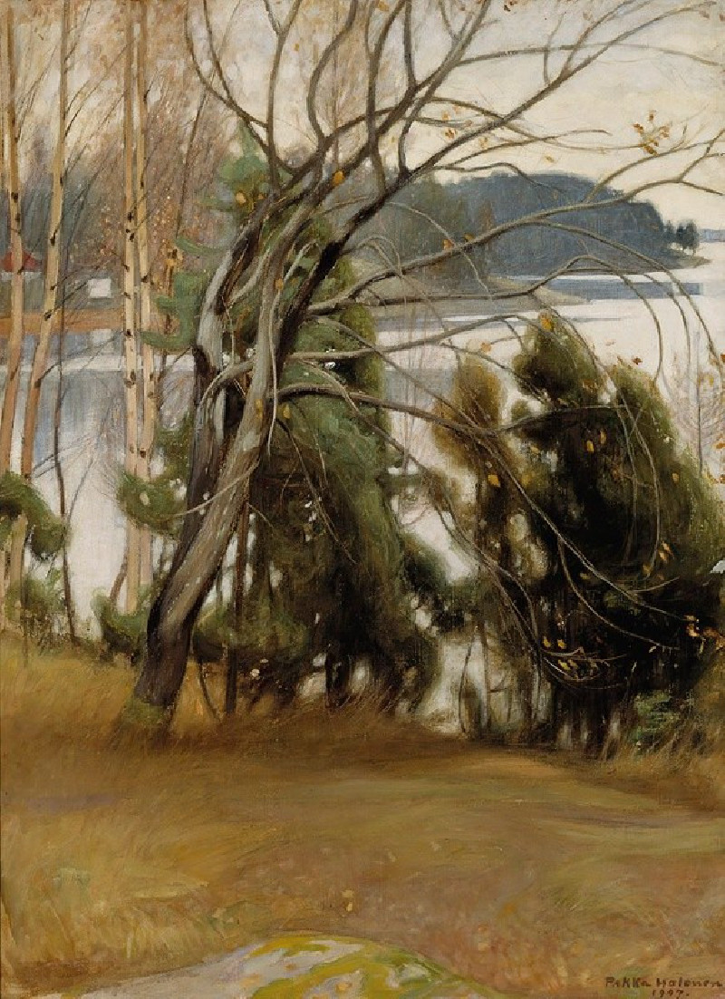 Sallow in Autumn (1907) reproduction of painting by Pekka Halonen. ALL GICLEE PRINTS