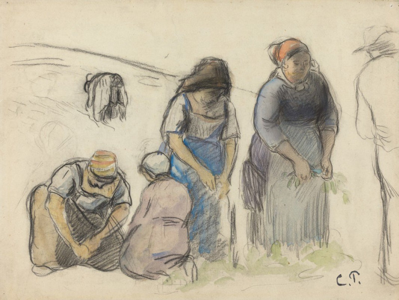 Pea Harvesters (recto) (c. 1880) reproduction of painting by Camille Pissarro. ALL GICLEE PRINTS