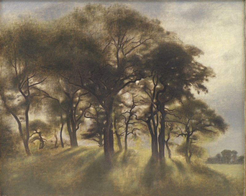 Near Fortunen, Jægersborg Deer Park, North of Copenhagen (1901) reproduction of painting by Vilhelm Hammershøi. ALL GICLEE PR...