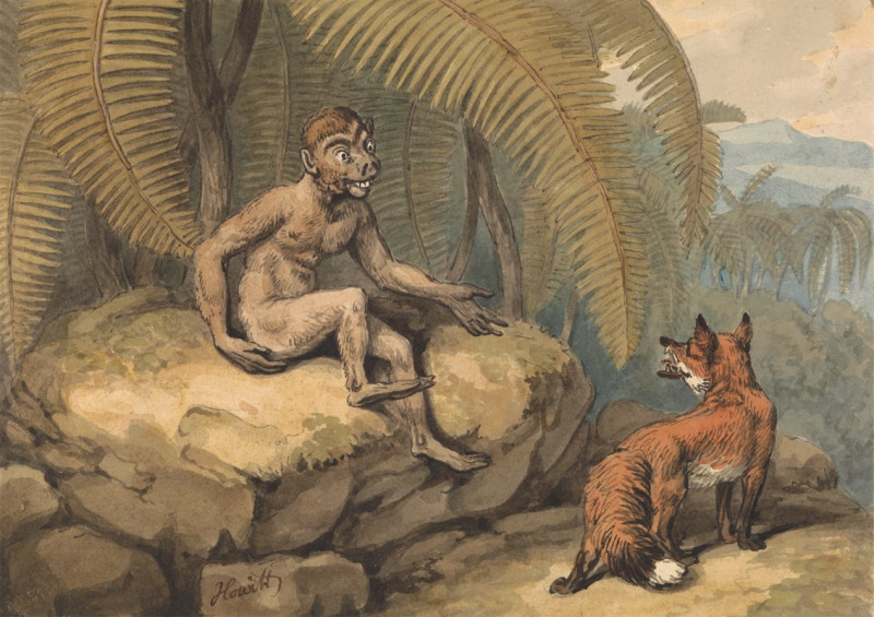 Samuel Howitt reprodukcija A Monkey and a Fox, VISOS REPRODUKCIJOS , paveikslai, reprodukcijos internetu