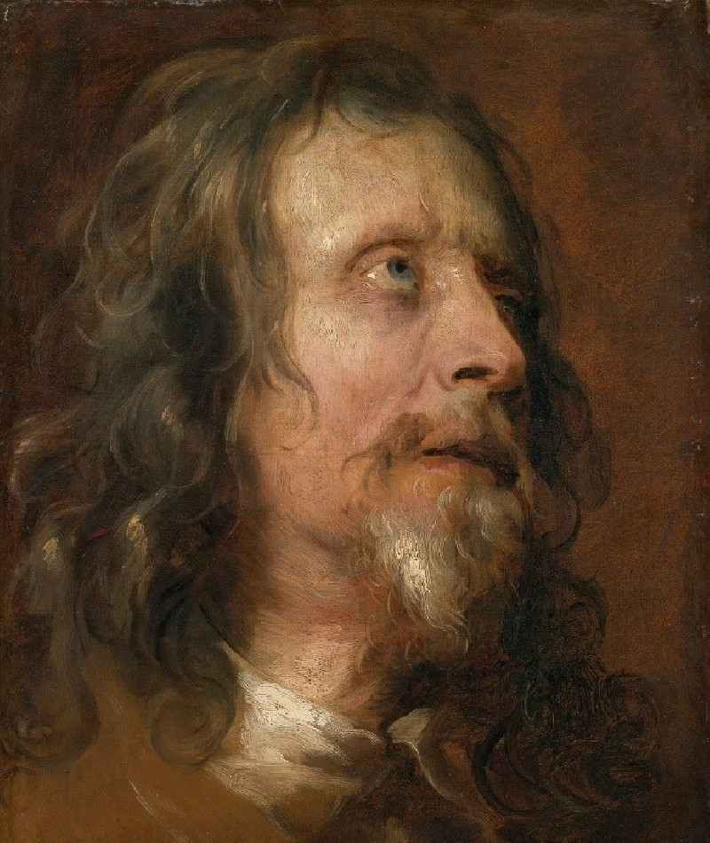 Anthony van Dyck reprodukcija Portrait Study of a Bearded Man, VISOS REPRODUKCIJOS , paveikslai, reprodukcijos internetu