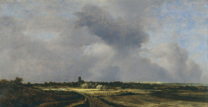 Jacob van Ruisdael reprodukcija View of Naarden (1647), VISOS REPRODUKCIJOS , paveikslai, reprodukcijos internetu