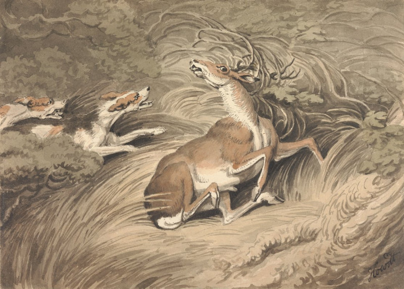 Two Hounds Attacking a Stag at Bay reproduction of painting by Samuel Howitt. ALL GICLEE PRINTS