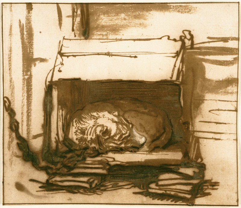 Sleeping Watchdog (1637 - 1640) reproduction of painting by Rembrandt van Rijn. ALL GICLEE PRINTS