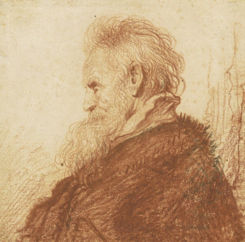 Head of an Old Man (recto) (c. 1631) reproduction of painting by Rembrandt van Rijn. ALL GICLEE PRINTS