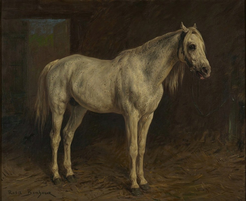 White Horse reproduction of painting by Rosa Bonheur. ALL GICLEE PRINTS