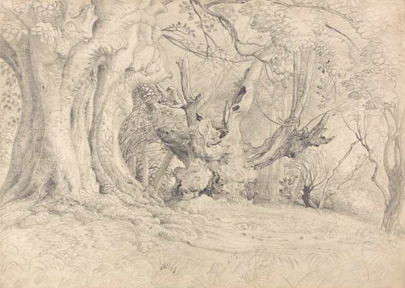 Ancient Trees, Lullingstone Park (1828) reproduction of painting by Samuel Palmer. ALL GICLEE PRINTS