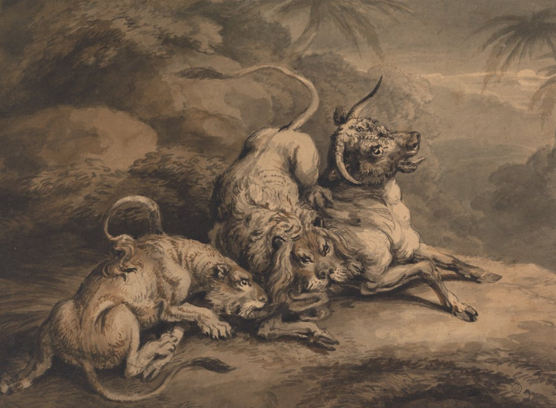 Lion and Lioness Attacking a Steer reproduction of painting by Samuel Howitt. ALL GICLEE PRINTS