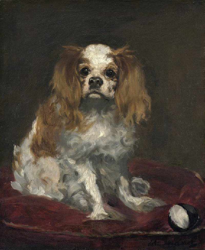 A King Charles Spaniel (c. 1866) reproduction of painting by Edouard Manet. ALL GICLEE PRINTS