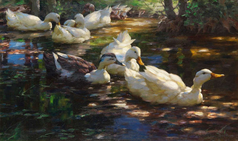 Sieben Enten im schattigen Waldteich (1910) reproduction of painting by Alexander Koester. ALL GICLEE PRINTS