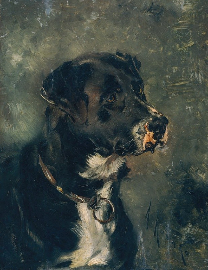 Kopf eines Fleischerhundes Hundekopf (1880-1882) reproduction of painting by Anton Romako. ALL GICLEE PRINTS