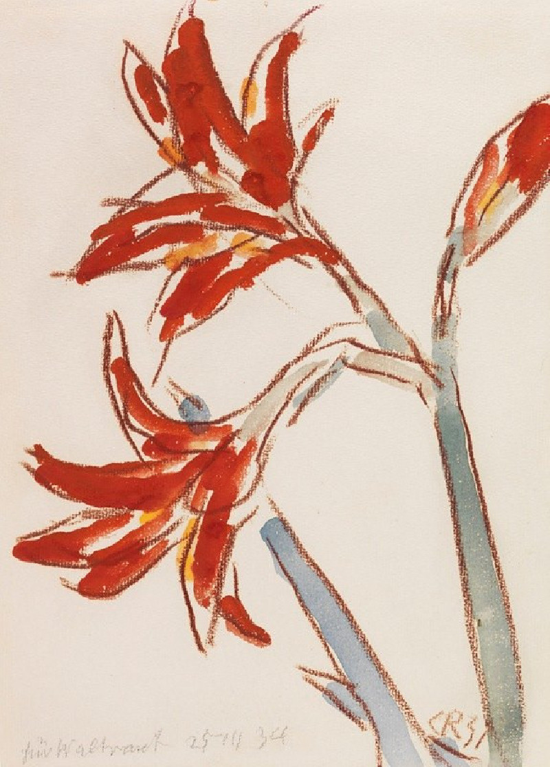 Christian Rohlfs reprodukcija Roter Amaryllis (1931), VISOS REPRODUKCIJOS , paveikslai, reprodukcijos internetu