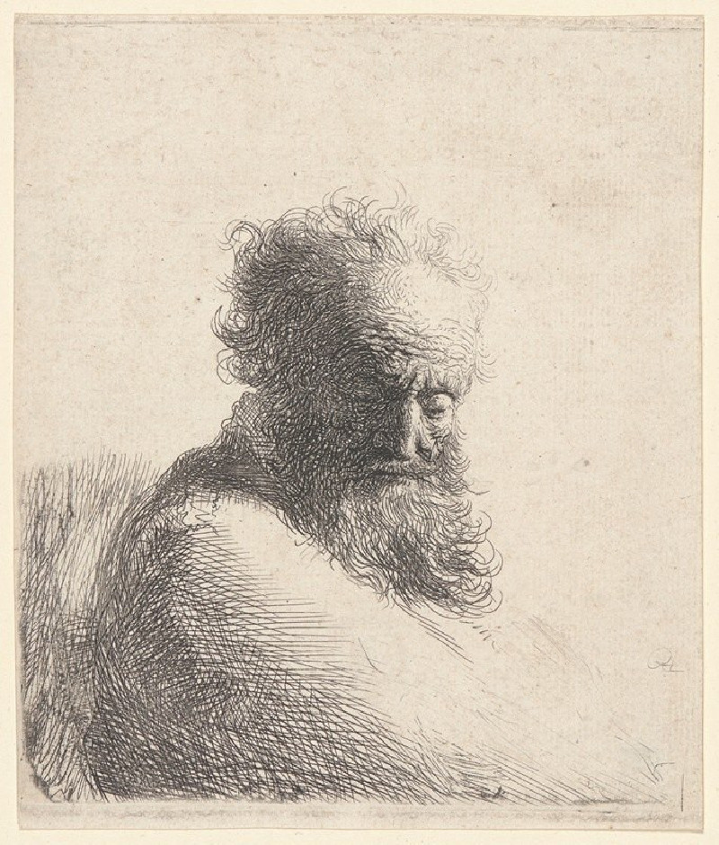 Bust of an Old Bearded Man, Looking Down (1631) reproduction of painting by Rembrandt van Rijn. ALL GICLEE PRINTS