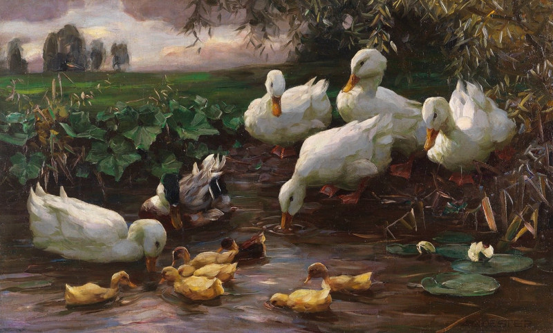 Erpel mit Enten und Küken am Seeufer (Ca. 1905-1910) reproduction of painting by Alexander Koester. ALL GICLEE PRINTS