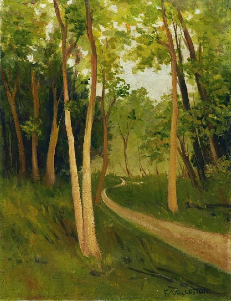 Félix Vallotton reprodukcija Track In The Bois De Boulogne, VISOS REPRODUKCIJOS , paveikslai, reprodukcijos internetu