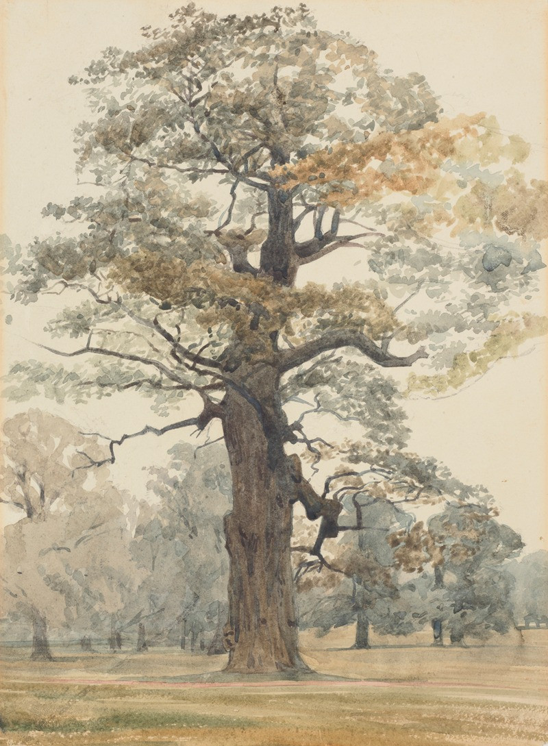 Oak in Kettlestone Park reproduction of painting by Honorable James Richmond. ALL GICLEE PRINTS