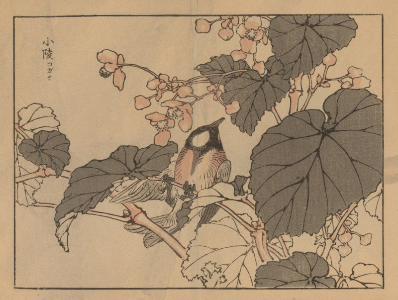 Bairei gafu, Pl.39 (1905) reproduction of painting by Kōno Bairei. ALL GICLEE PRINTS