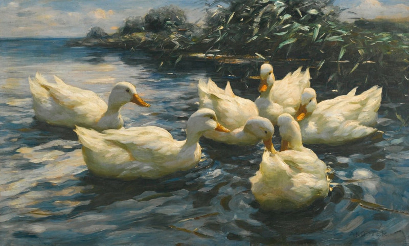 Six Ducks reproduction of painting by Alexander Koester. ALL GICLEE PRINTS