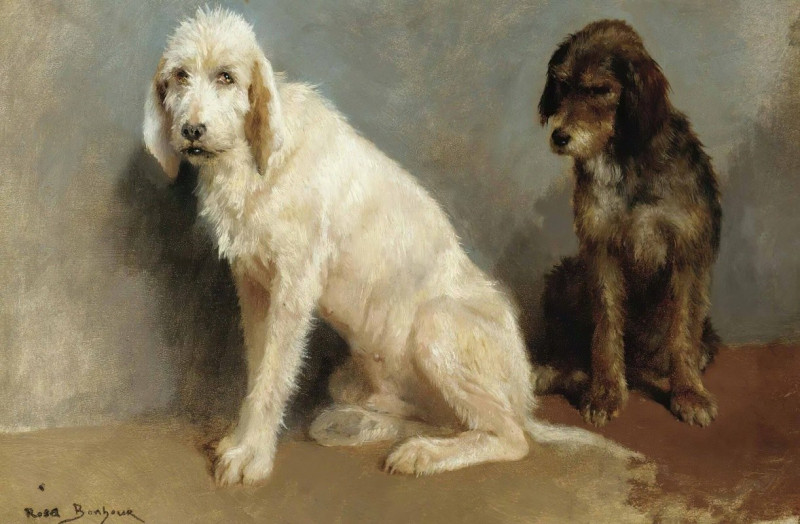 Study Of Two Dogs reproduction of painting by Rosa Bonheur. ALL GICLEE PRINTS