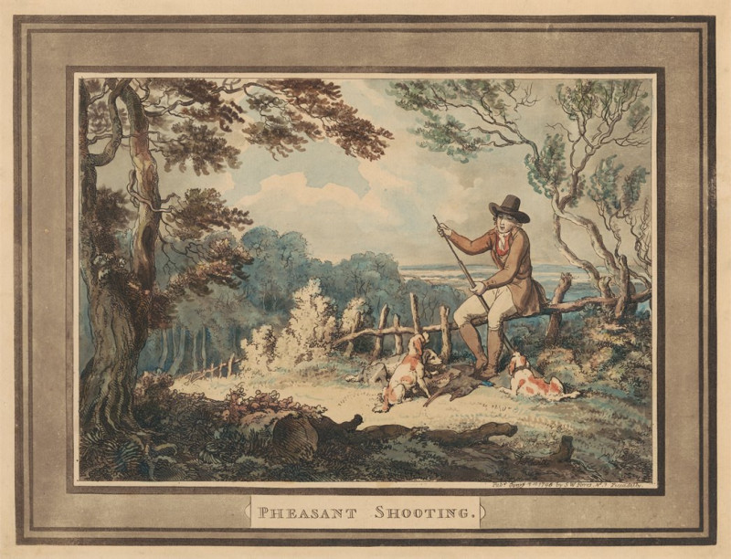 Pheasant Shooting (1796) reproduction of painting by Samuel Howitt. ALL GICLEE PRINTS