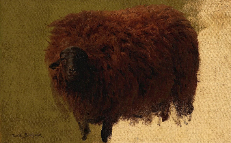 Large Wooly Sheep (Wether) reproduction of painting by Rosa Bonheur. ALL GICLEE PRINTS