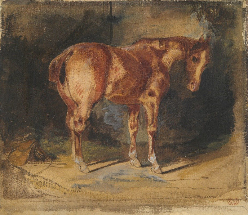 Study of a Horse reproduction of painting by Eugène Delacroix. ALL GICLEE PRINTS