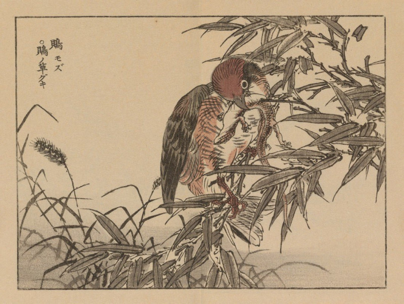 Bairei gafu, Pl.18 (1905) reproduction of painting by Kōno Bairei. ALL GICLEE PRINTS