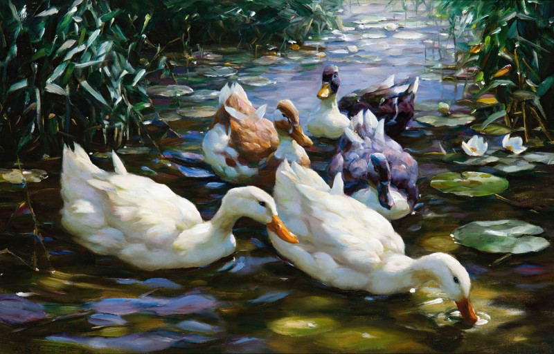 Five Ducks reproduction of painting by Alexander Koester. ALL GICLEE PRINTS