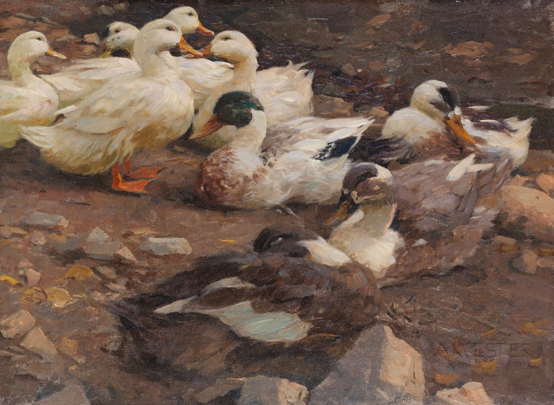 Neun Enten am Teichufer (1900) reproduction of painting by Alexander Koester. ALL GICLEE PRINTS