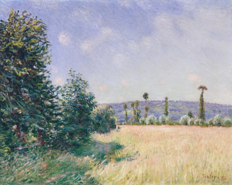 Sahurs Meadows in Morning Sun (1894) reproduction of painting by Alfred Sisley. ALL GICLEE PRINTS