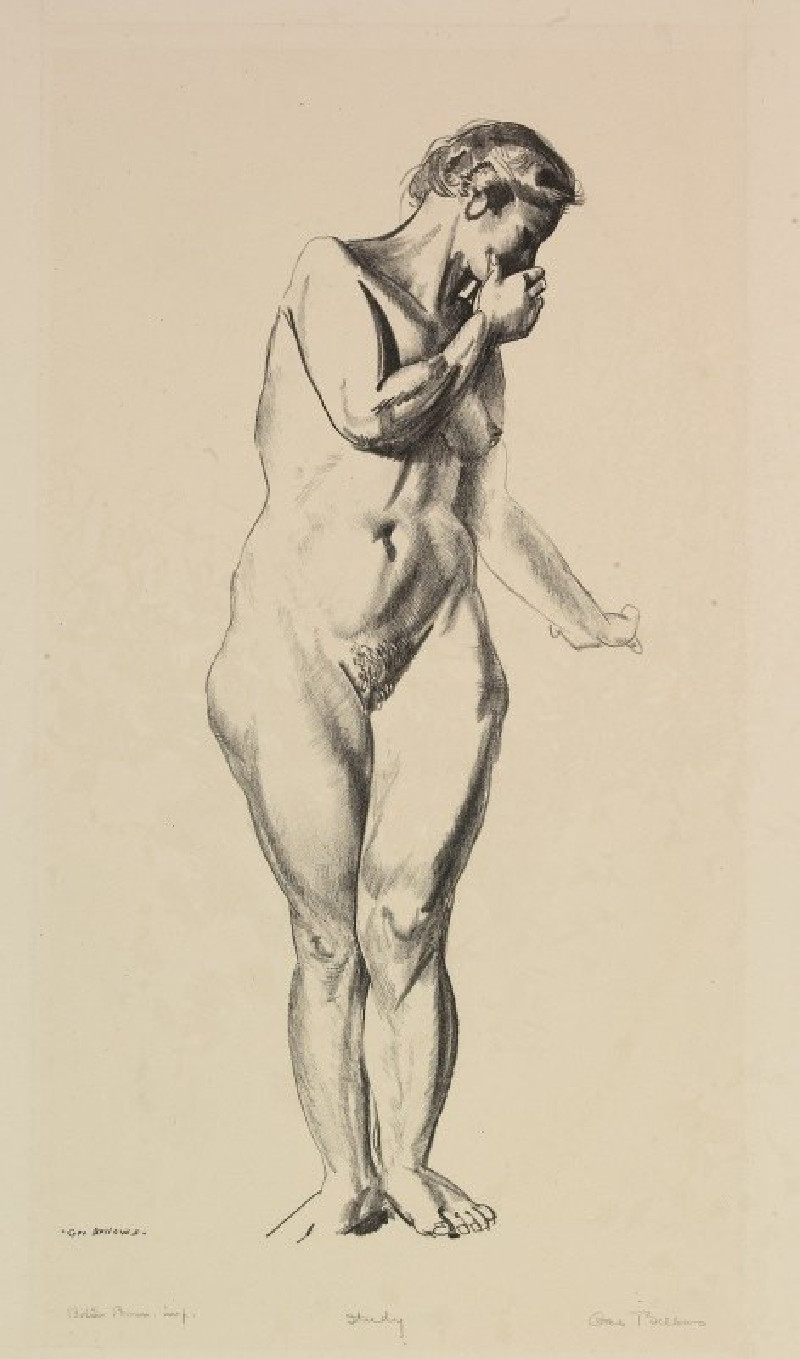 Nude Study reproduction of painting by George Wesley Bellows. Nude