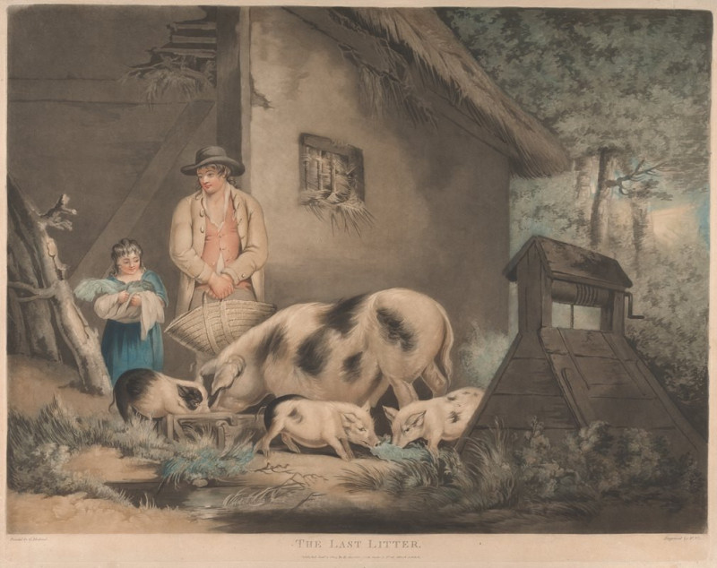 The Last Litter (1803) reproduction of painting by George Morland. ALL GICLEE PRINTS