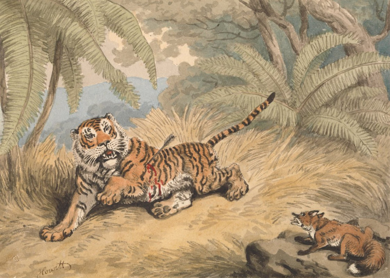 A Tiger Pierced with an Arrow reproduction of painting by Samuel Howitt. ALL GICLEE PRINTS