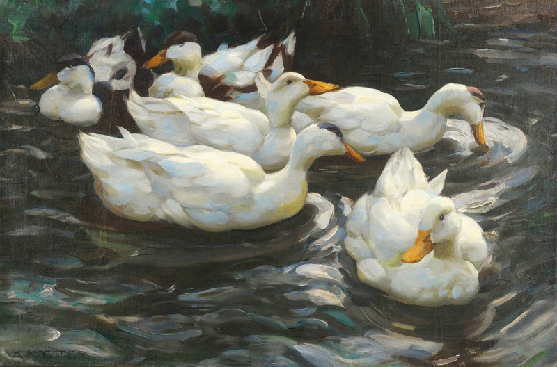 Sechs Enten im Wasser, (Ca. 1900-1905) reproduction of painting by Alexander Koester. ALL GICLEE PRINTS