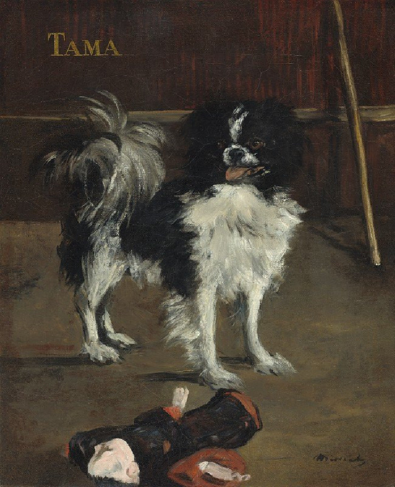 Tama,the Japanese Dog (c. 1875) reproduction of painting by Edouard Manet. ALL GICLEE PRINTS