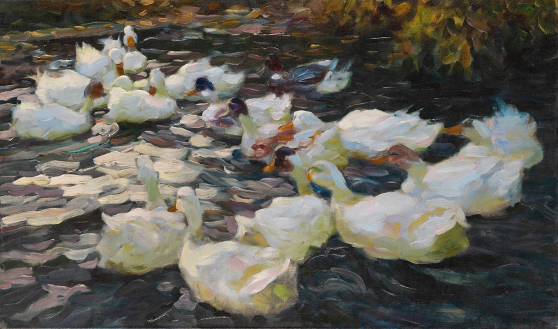 Alexander Koester reprodukcija Ducks in the evening sun (1914), VISOS REPRODUKCIJOS , paveikslai, reprodukcijos internetu