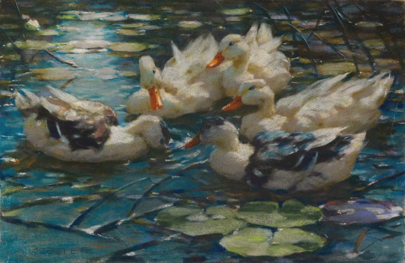 Fünf bunte Enten in blauem Seerosenwasser (1909) reproduction of painting by Alexander Koester. ALL GICLEE PRINTS