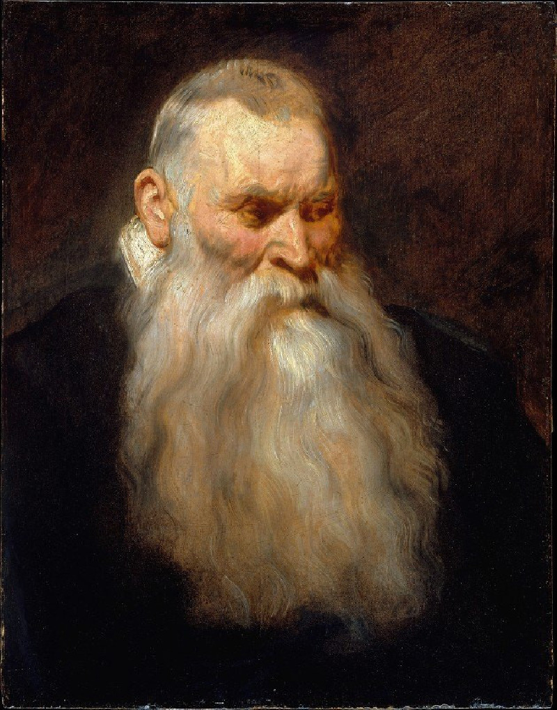 Anthony van Dyck reprodukcija Study Head of an Old Man with a White Beard (ca. 1617–20), VISOS REPRODUKCIJOS , paveikslai, re...