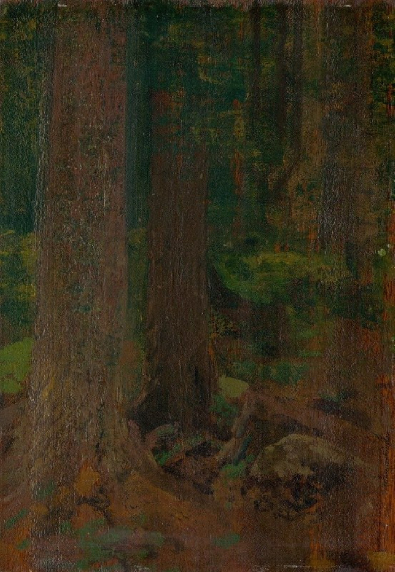 Ferdinand Katona reprodukcija Study of Forest (1890–1910), VISOS REPRODUKCIJOS , paveikslai, reprodukcijos internetu