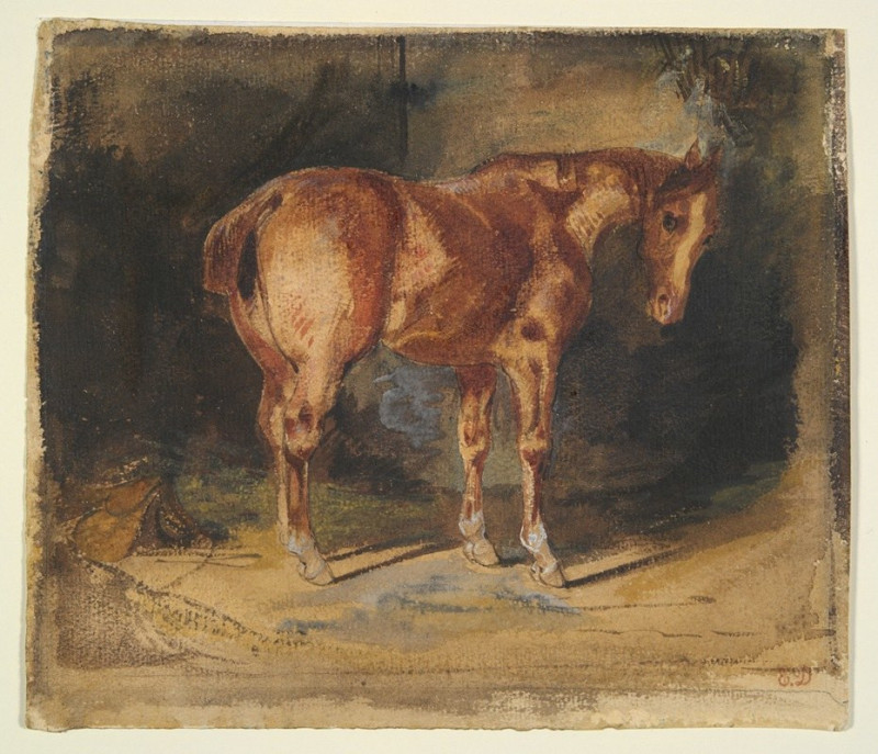 Study of a Horse-1 reproduction of painting by Eugène Delacroix. ALL GICLEE PRINTS