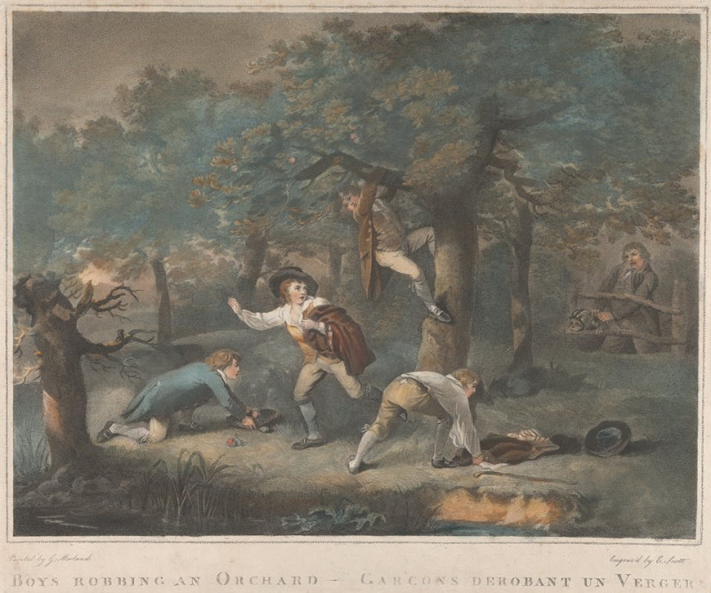 Boys Robbing an Orchard (1790) reproduction of painting by George Morland. ALL GICLEE PRINTS