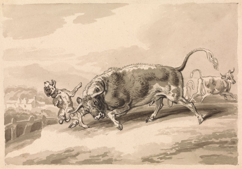 Bull Attacking Mastiff reproduction of painting by Samuel Howitt. ALL GICLEE PRINTS