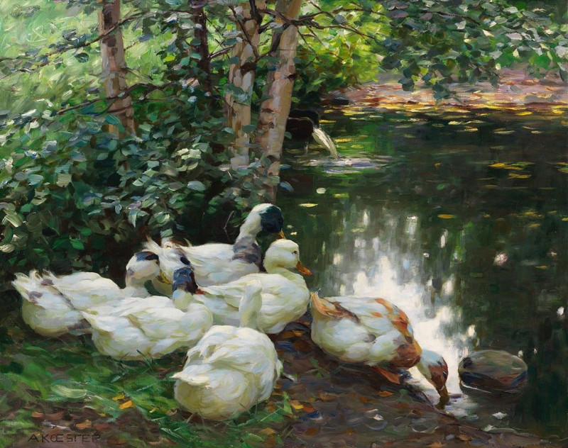 Sechs Enten am Teichufer (1908) reproduction of painting by Alexander Koester. ALL GICLEE PRINTS