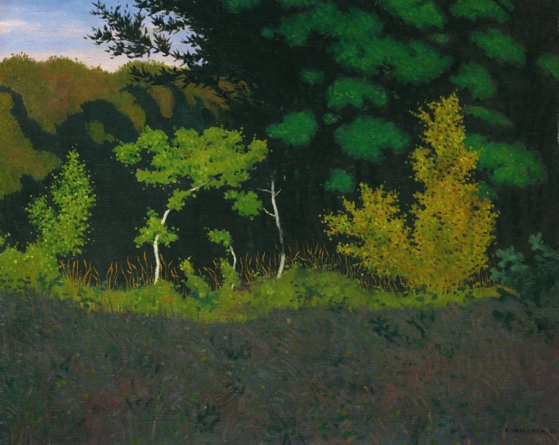 Félix Vallotton reprodukcija Edge Of The Wood (1920), VISOS REPRODUKCIJOS , paveikslai, reprodukcijos internetu