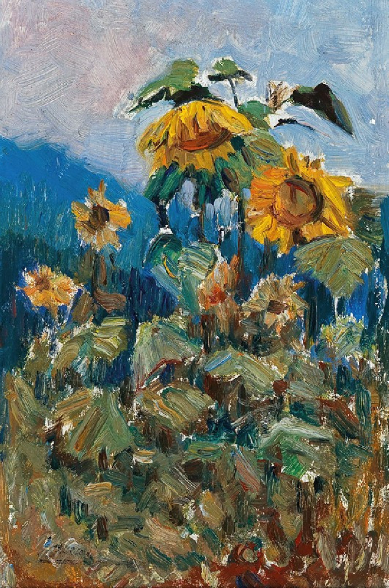 Marie Egner reprodukcija Study of Sunflowers, VISOS REPRODUKCIJOS , paveikslai, reprodukcijos internetu