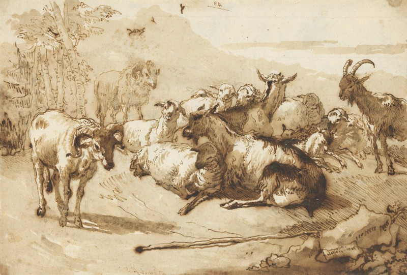 Giovanni Domenico Tiepolo reprodukcija Goats and Sheep in a Landscape (ca. 1760–61), VISOS REPRODUKCIJOS , paveikslai, reprod...