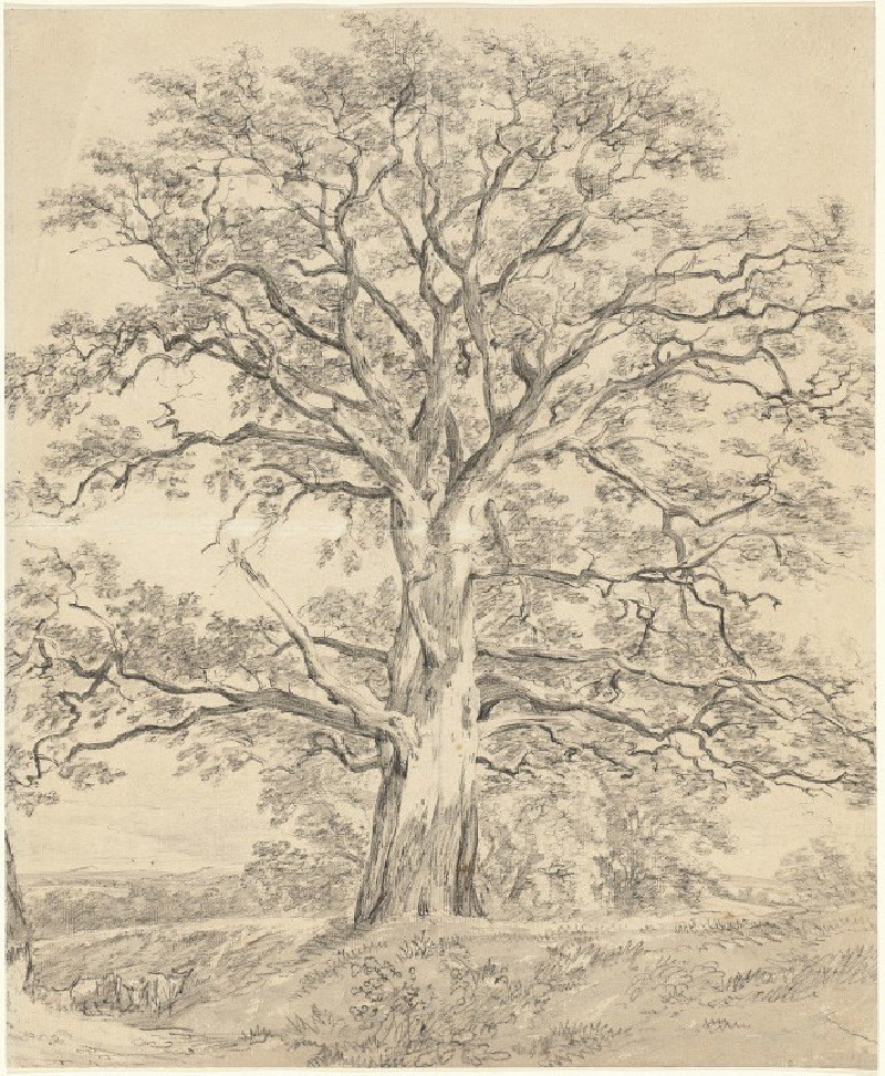 A Great Oak Tree (c. 1801) reproduction of painting by John Constable. ALL GICLEE PRINTS