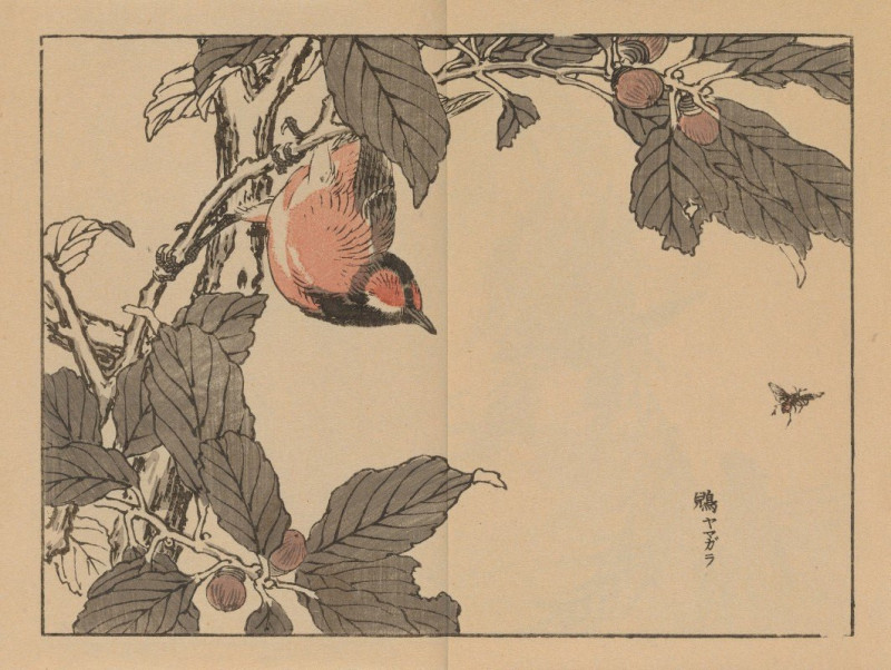 Bairei gafu, Pl.16 (1905) reproduction of painting by Kōno Bairei. ALL GICLEE PRINTS