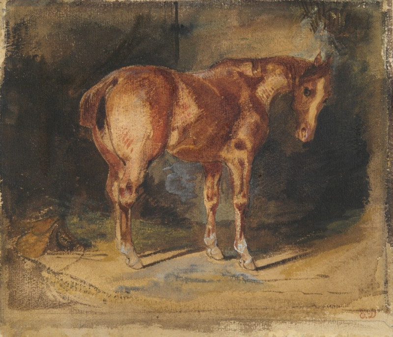 Study of a Horse reproduction of painting by Eugène Delacroix. ALL GICLEE PRINTS