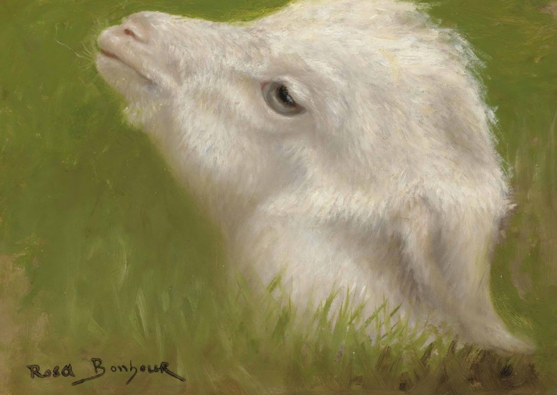 Head Of A Lamb reproduction of painting by Rosa Bonheur. ALL GICLEE PRINTS